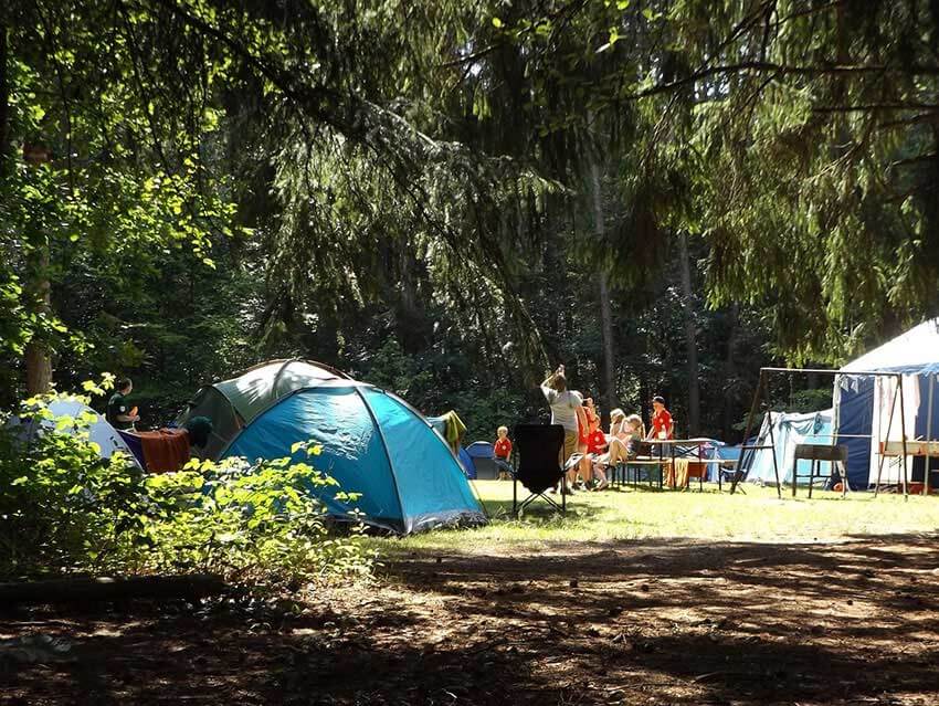 auf dem bild sieht man eine Gruppe beim Zelten auf einer Waldlichtung die bestimmt eine Transportbox für camping dabei haben